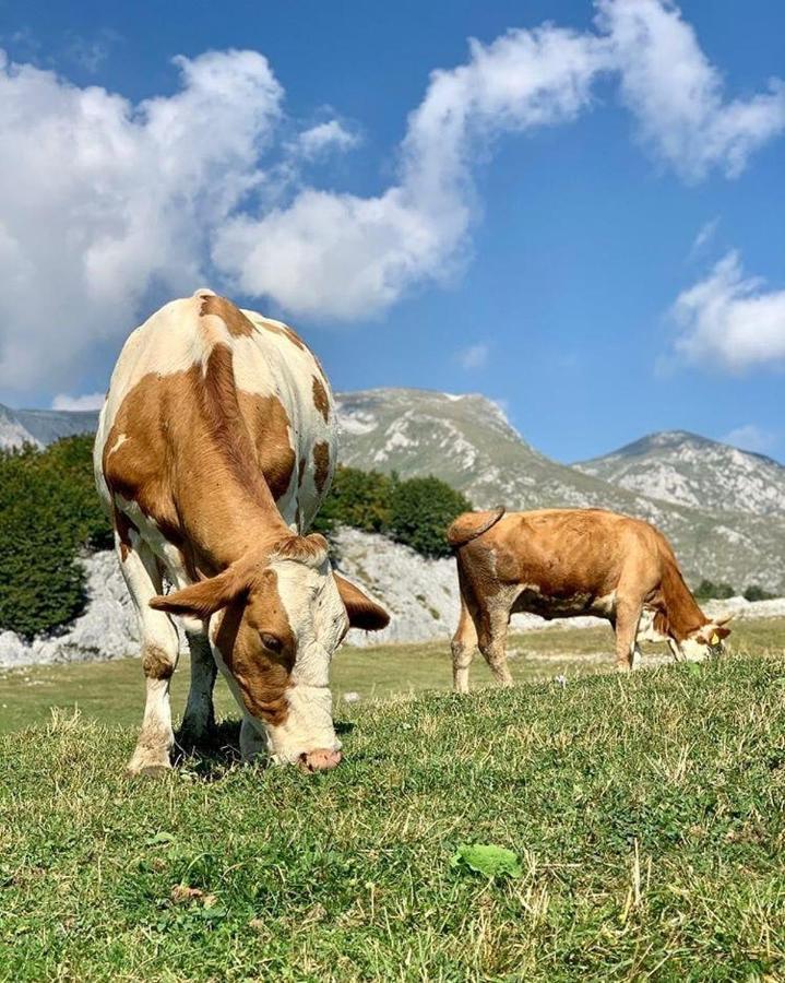 Etno Village Katun Žabljak Exterior foto