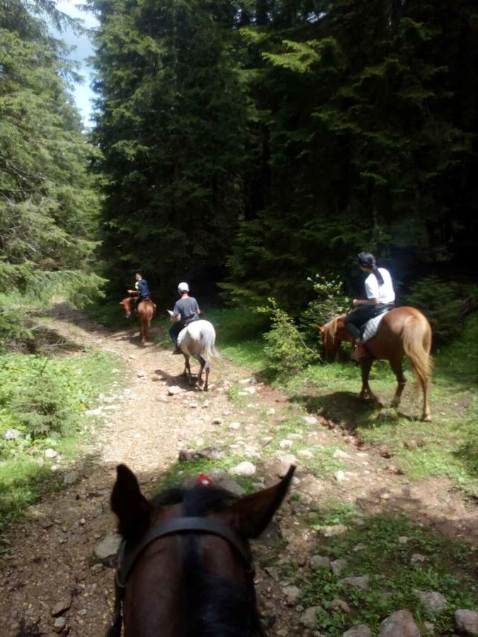 Etno Village Katun Žabljak Exterior foto