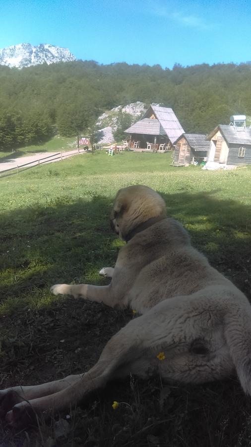 Etno Village Katun Žabljak Exterior foto